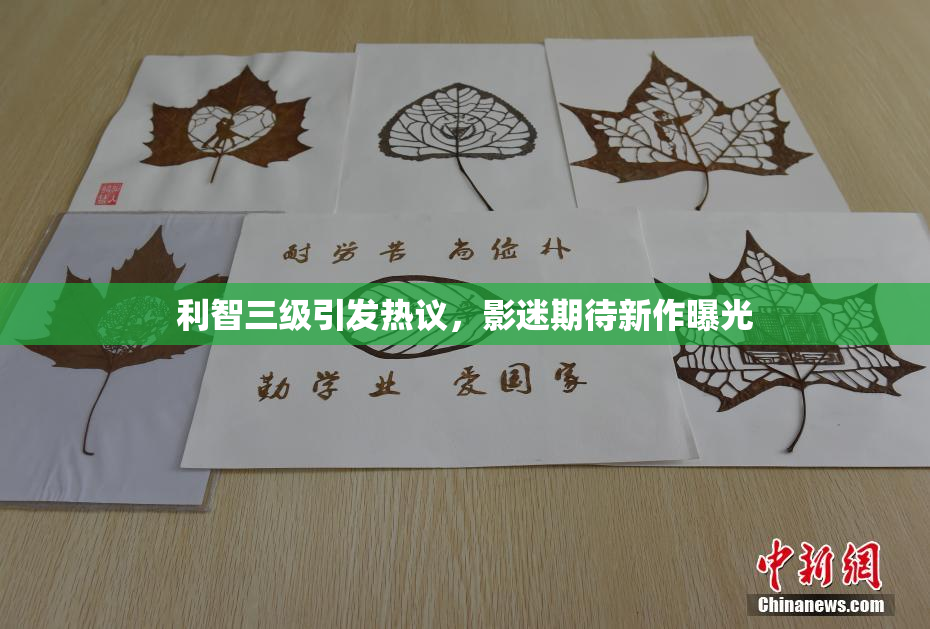 利智三级引发热议，影迷期待新作曝光