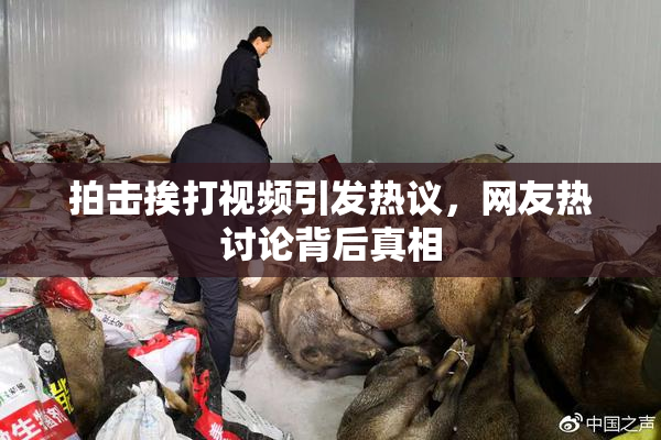 拍击挨打视频引发热议，网友热讨论背后真相