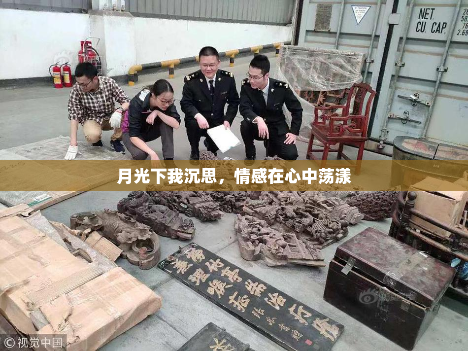 月光下我沉思，情感在心中荡漾
