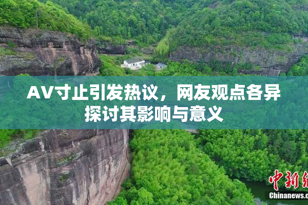 AV寸止引发热议，网友观点各异探讨其影响与意义