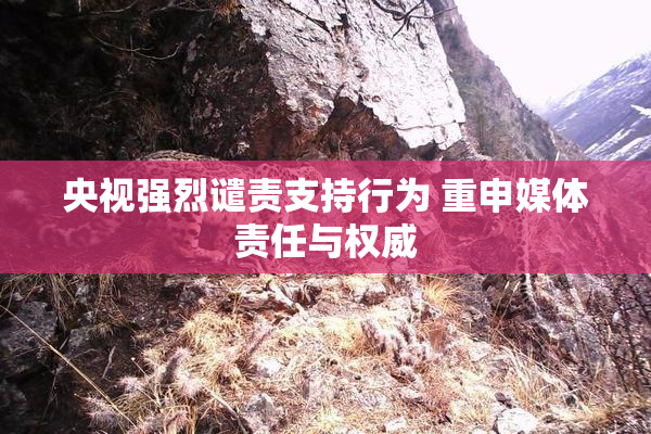 央视强烈谴责支持行为 重申媒体责任与权威