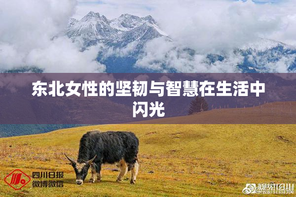 东北女性的坚韧与智慧在生活中闪光