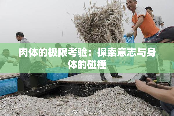 肉体的极限考验：探索意志与身体的碰撞