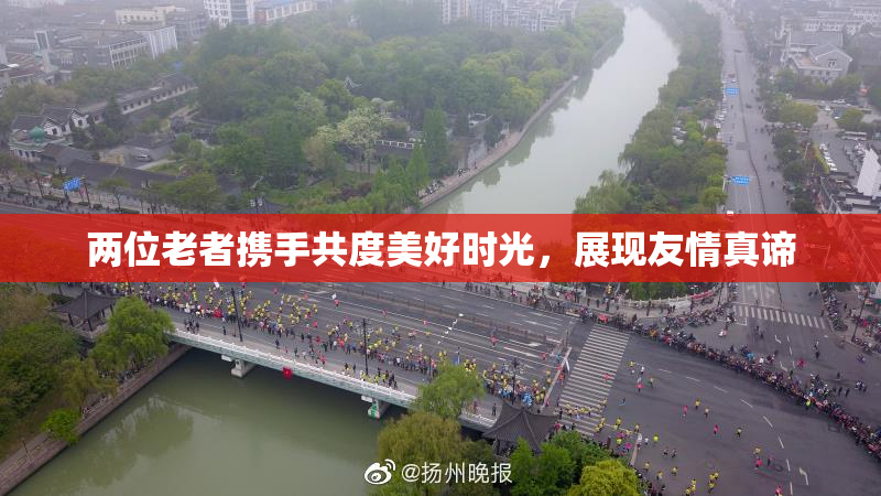 两位老者携手共度美好时光，展现友情真谛