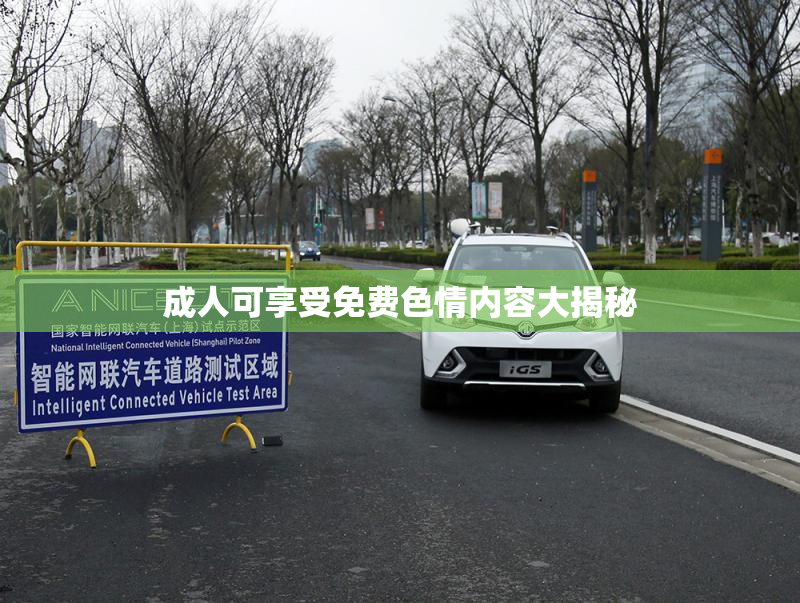 成人可享受免费色情内容大揭秘