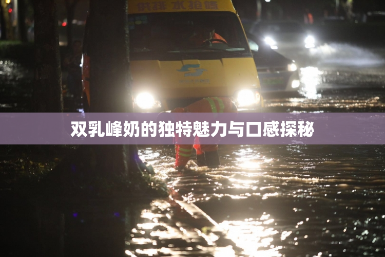 双乳峰奶的独特魅力与口感探秘