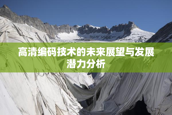 高清编码技术的未来展望与发展潜力分析