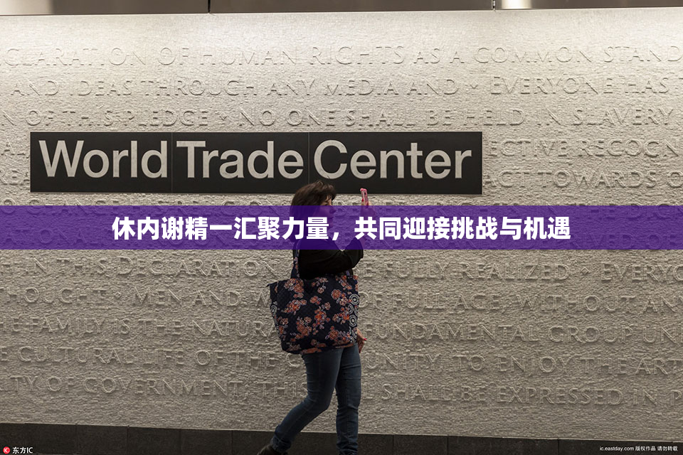 休内谢精一汇聚力量，共同迎接挑战与机遇