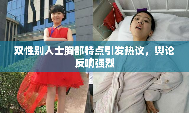 双性别人士胸部特点引发热议，舆论反响强烈