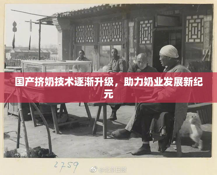 国产挤奶技术逐渐升级，助力奶业发展新纪元