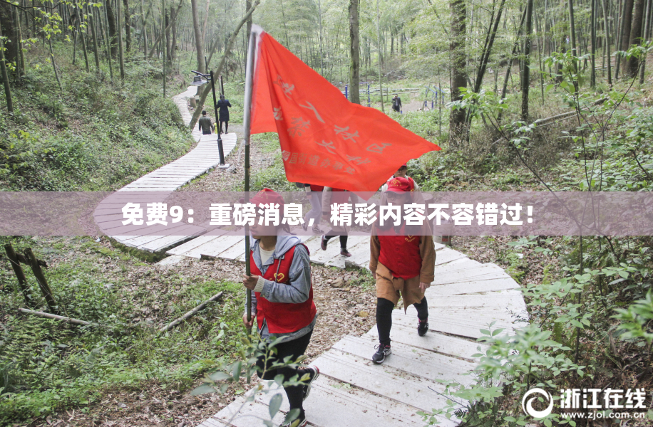 免费9：重磅消息，精彩内容不容错过！