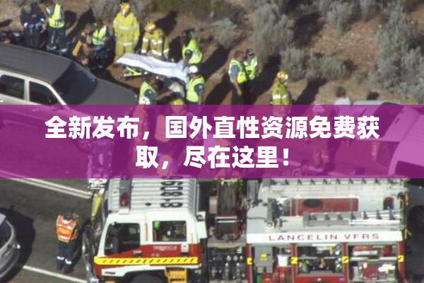 全新发布，国外直性资源免费获取，尽在这里！