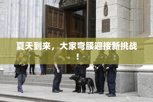 夏天到来，大家弯腰迎接新挑战！