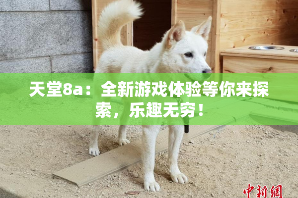 天堂8a：全新游戏体验等你来探索，乐趣无穷！
