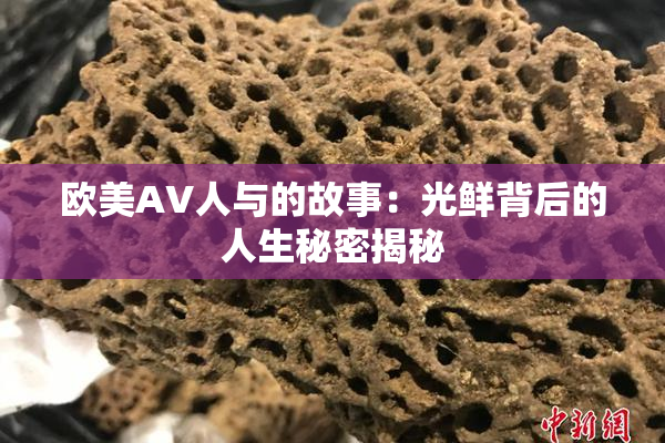 欧美AV人与的故事：光鲜背后的人生秘密揭秘