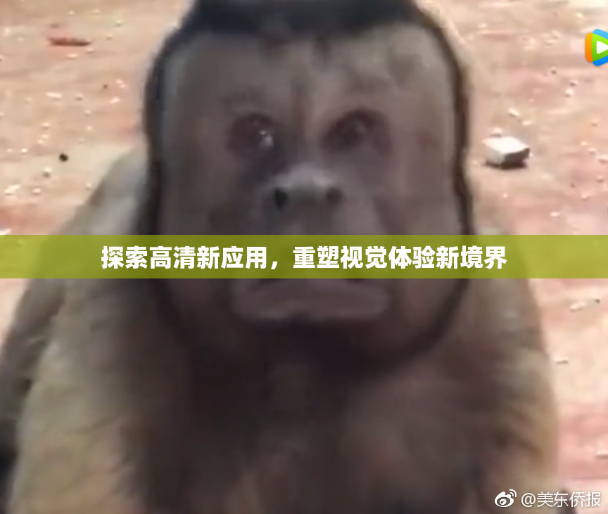 探索高清新应用，重塑视觉体验新境界