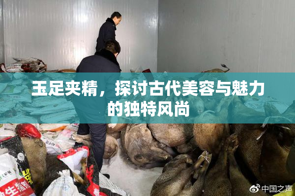 玉足夹精，探讨古代美容与魅力的独特风尚