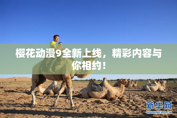 樱花动漫9全新上线，精彩内容与你相约！