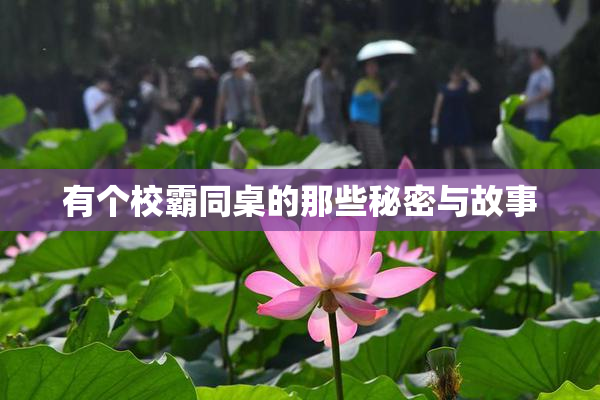 有个校霸同桌的那些秘密与故事