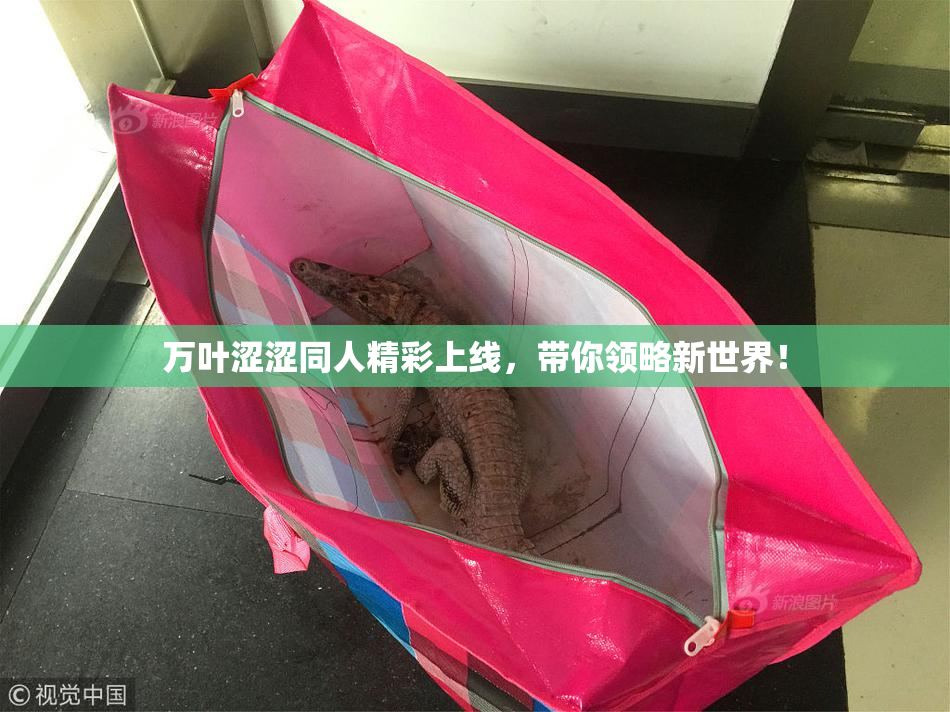 万叶涩涩同人精彩上线，带你领略新世界！