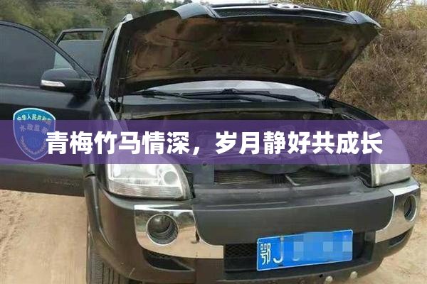 青梅竹马情深，岁月静好共成长