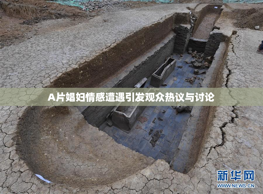 A片娼妇情感遭遇引发观众热议与讨论