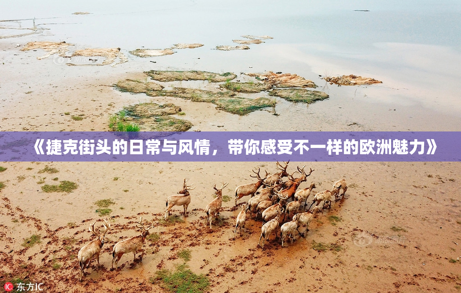 《捷克街头的日常与风情，带你感受不一样的欧洲魅力》