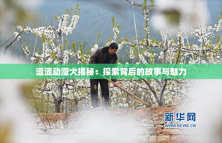 涩涩动漫大揭秘：探索背后的故事与魅力