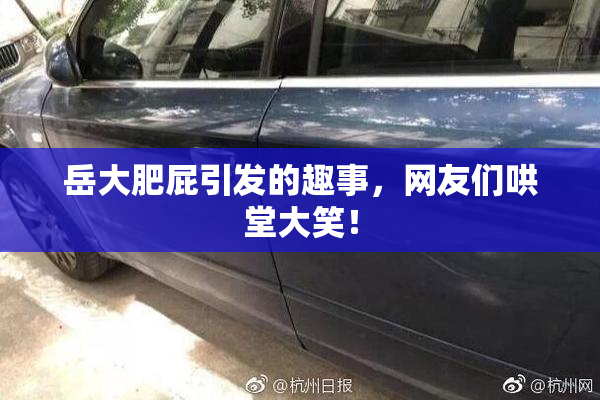 岳大肥屁引发的趣事，网友们哄堂大笑！