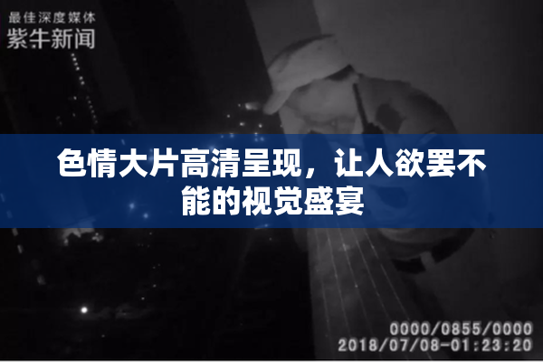 色情大片高清呈现，让人欲罢不能的视觉盛宴
