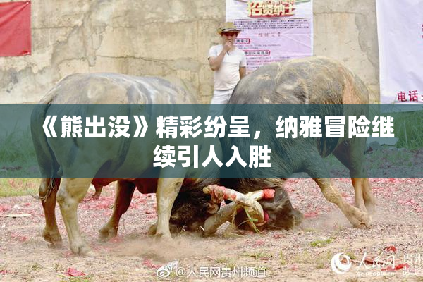 《熊出没》精彩纷呈，纳雅冒险继续引人入胜