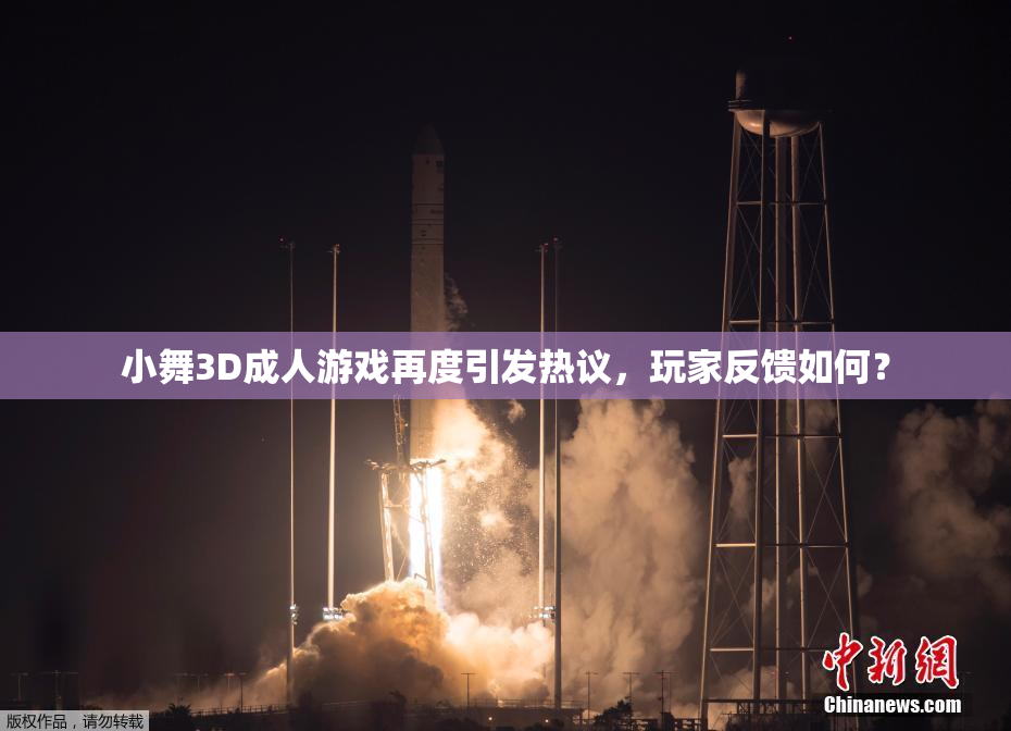 小舞3D成人游戏再度引发热议，玩家反馈如何？