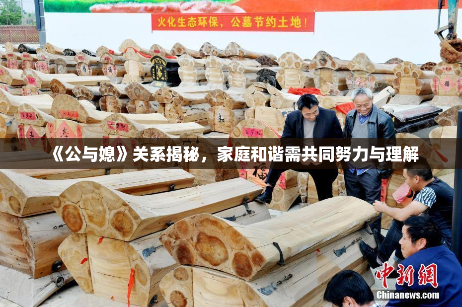 《公与媳》关系揭秘，家庭和谐需共同努力与理解