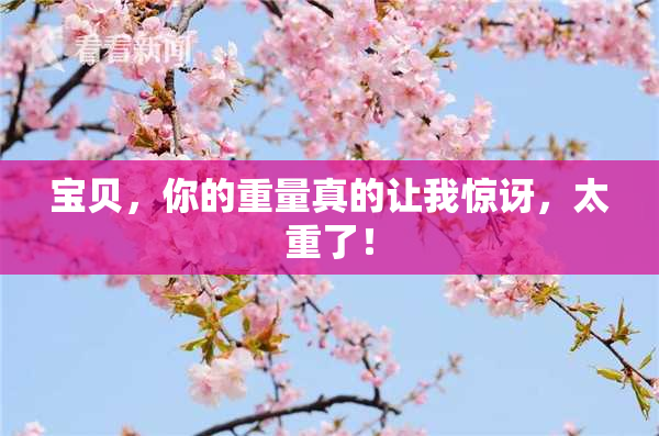 宝贝，你的重量真的让我惊讶，太重了！