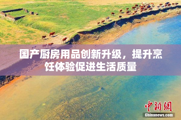 国产厨房用品创新升级，提升烹饪体验促进生活质量