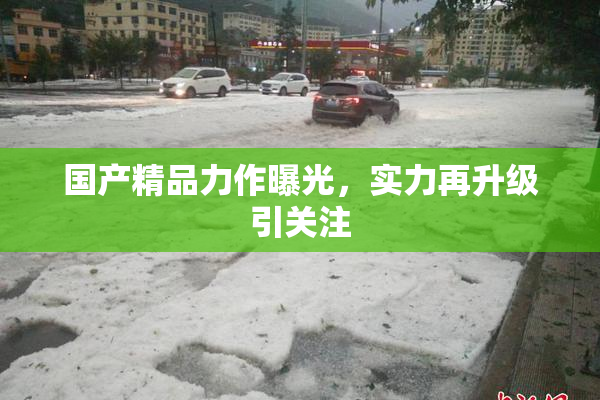 国产精品力作曝光，实力再升级引关注