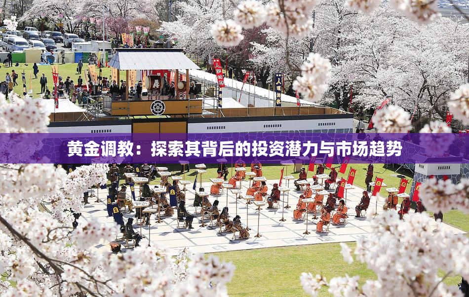 黄金调教：探索其背后的投资潜力与市场趋势