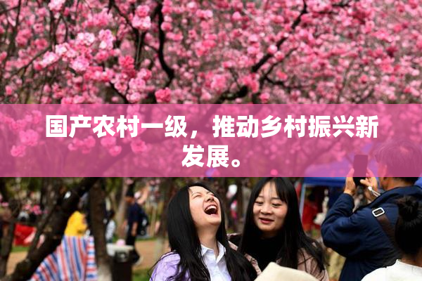 国产农村一级，推动乡村振兴新发展。