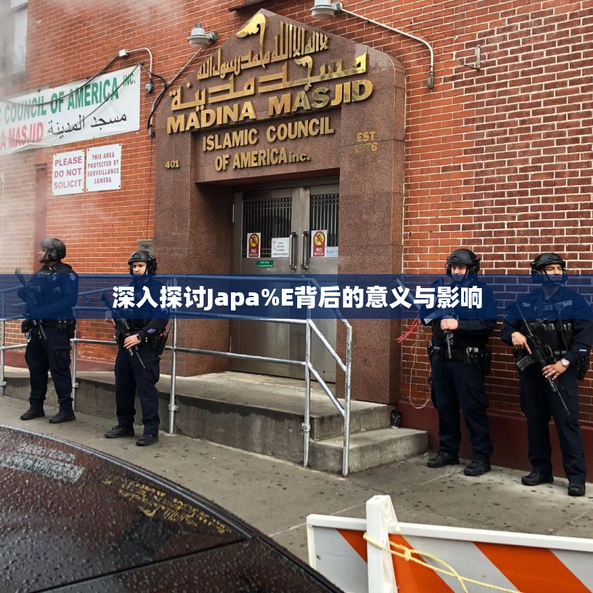 深入探讨Japa%E背后的意义与影响