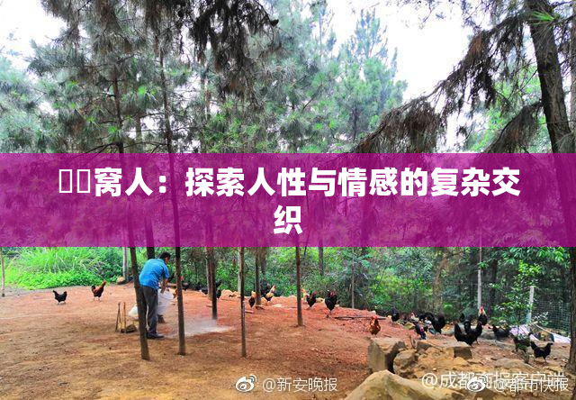 妺妺窝人：探索人性与情感的复杂交织