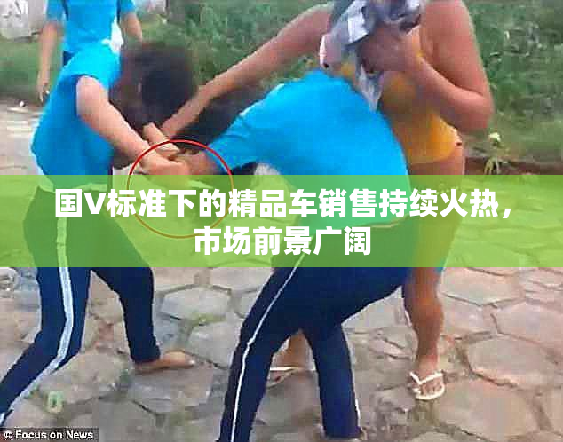 国V标准下的精品车销售持续火热，市场前景广阔
