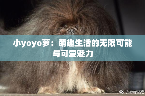 小yoyo萝：萌趣生活的无限可能与可爱魅力