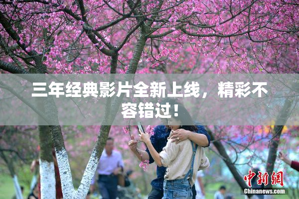 三年经典影片全新上线，精彩不容错过！