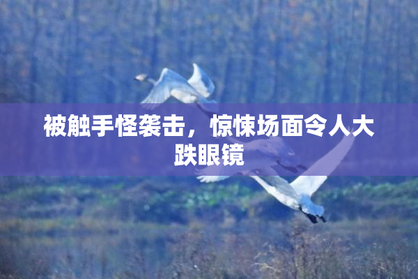 被触手怪袭击，惊悚场面令人大跌眼镜
