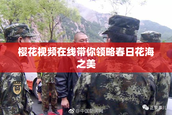 樱花视频在线带你领略春日花海之美