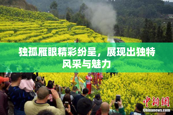 独孤雁眼精彩纷呈，展现出独特风采与魅力