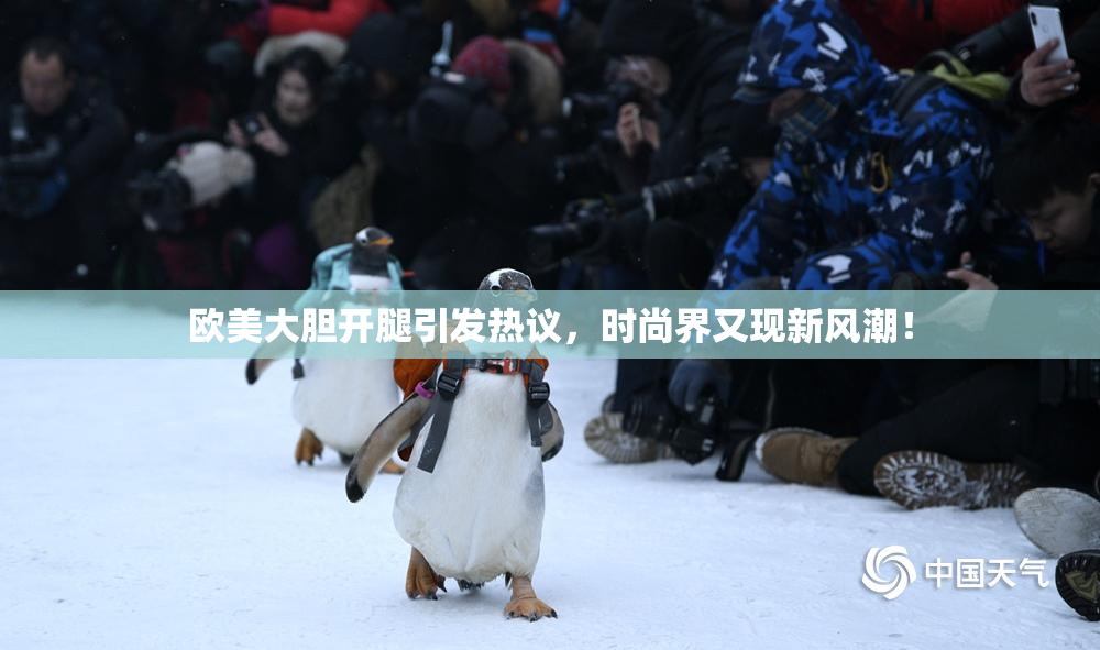 欧美大胆开腿引发热议，时尚界又现新风潮！