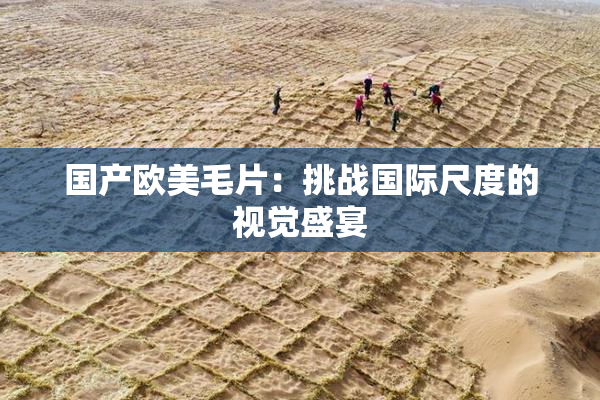 国产欧美毛片：挑战国际尺度的视觉盛宴