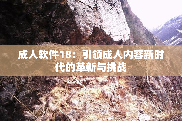 成人软件18：引领成人内容新时代的革新与挑战