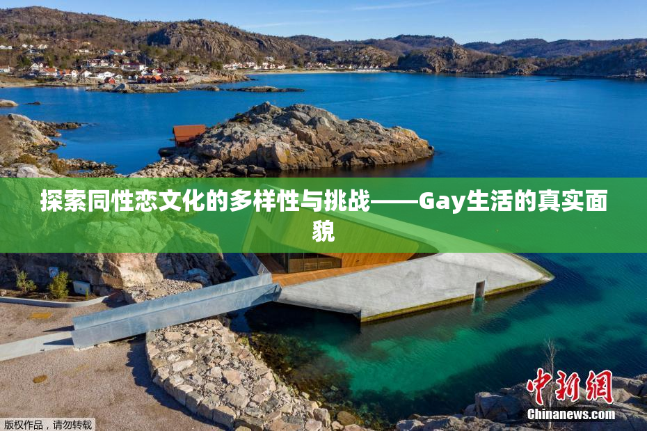 探索同性恋文化的多样性与挑战——Gay生活的真实面貌